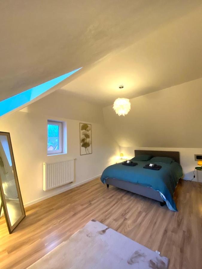 Duplex Moderne A 10 Minutes De Colmar Leilighet Wintzenheim Eksteriør bilde
